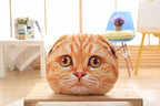 Cuddly Cat-Shaped Car Cushion and Nap Pillow-3